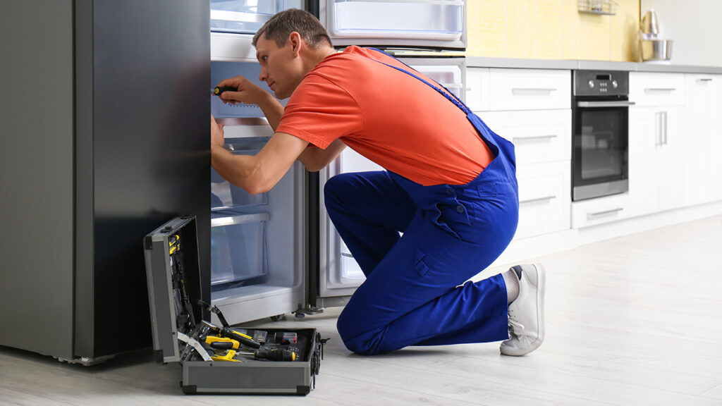 Best Ways to Clean a Fridge