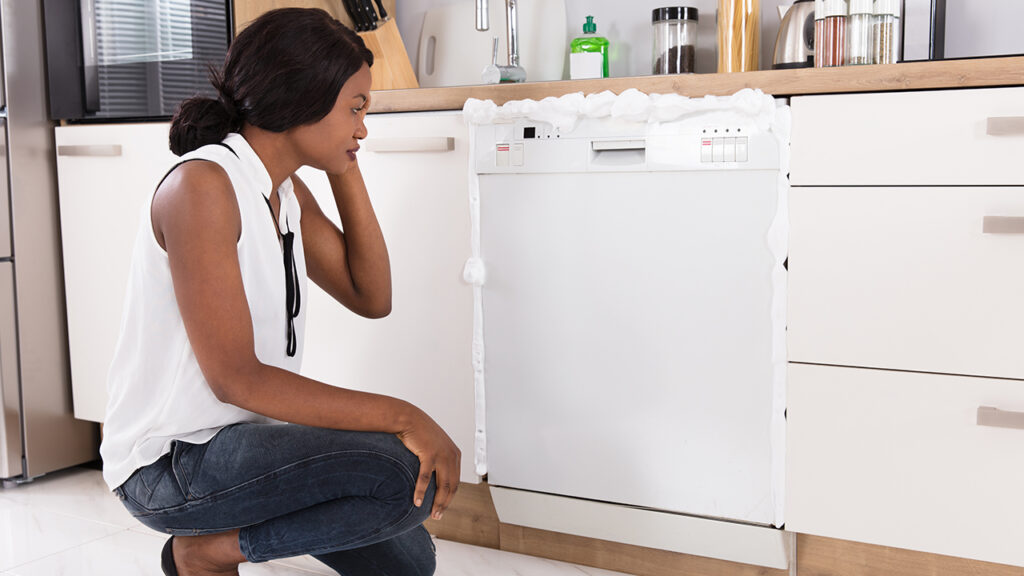 Dishwasher Is Not Cleaning The Dishes